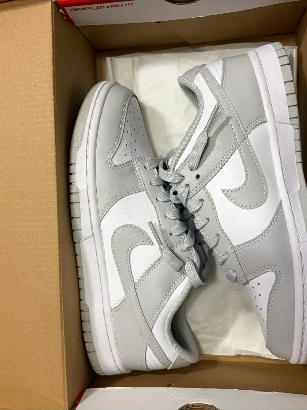 Nike Low-Top Sneakers in White and Light Gray